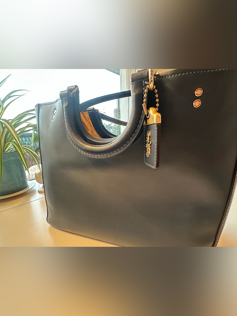 Coach Rae Tote - Picture 4 of 9